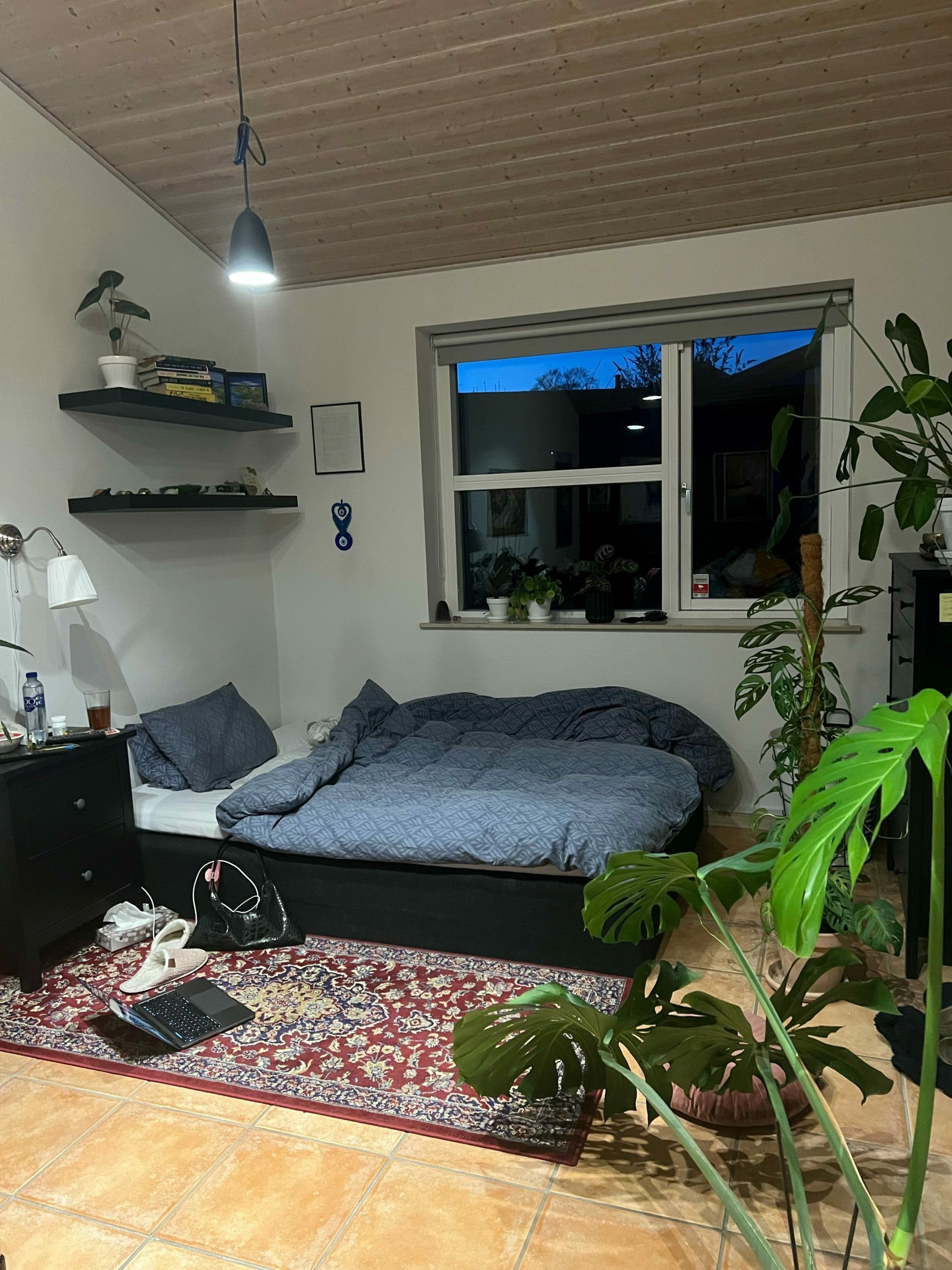 Et teenageværelse med en dobbeltseng, to hylder på væggen, nogle planter i forgrunden og et tæppe på gulvet.